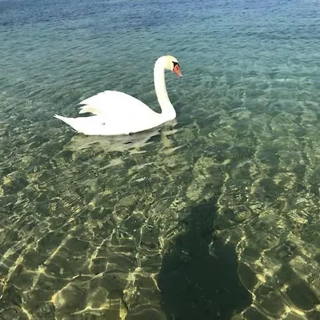 Lägenhet Happy Manerba del Garda